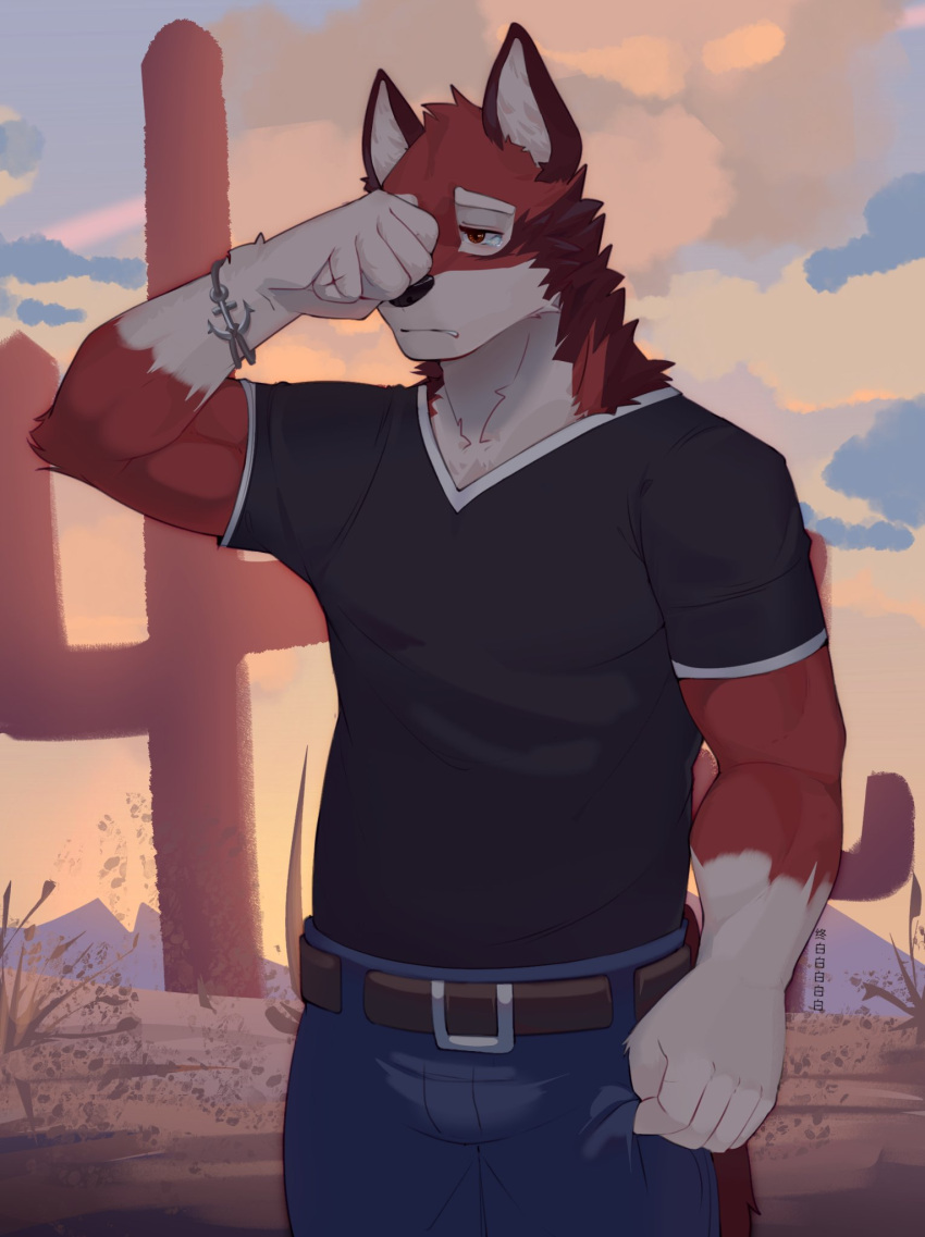 1boy, anchor_bracelet, animal_ears, black_shirt, blue_pants, cactus, chinese_commentary, clouds