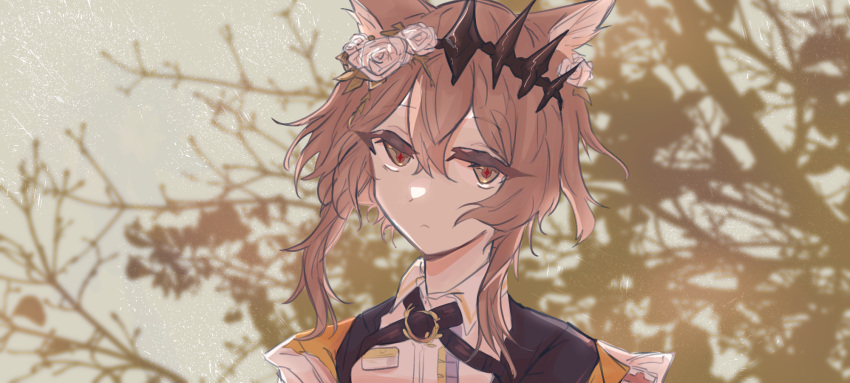 1girl, animal_ears, arknights, black_jacket, black_tiara, brown_eyes, brown_hair, cat_ears