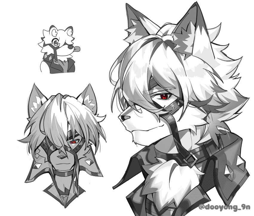1boy, absurdres, animal_ears, artist_name, closed_mouth, colored_tips, commentary, dooyong_9n, eyepatch, furry, furry_male, highres, looking_at_viewer, male_focus, multicolored_hair, smile, tongue, tongue_out, twitter_username, untranslatable_commentary, von_lycaon, white_background, wolf_boy, wolf_ears, zenless_zone_zero
