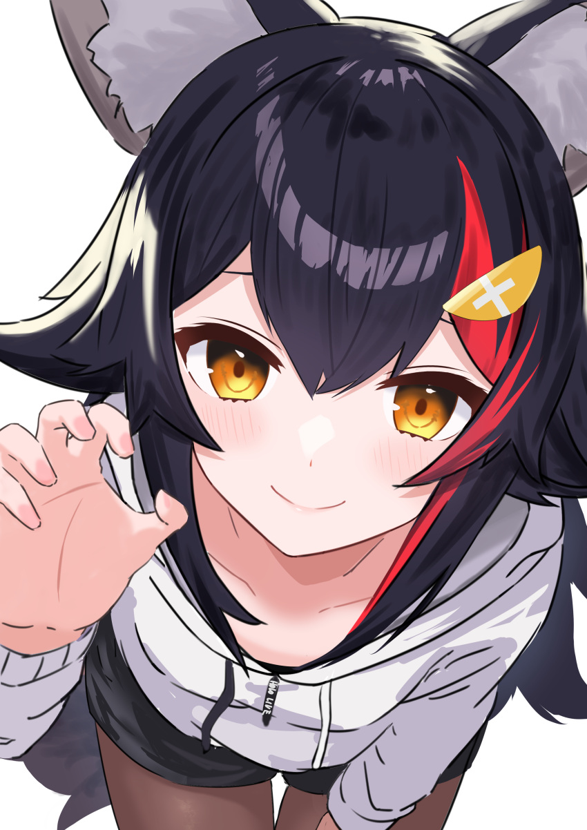 1girl, absurdres, animal_ear_fluff, animal_ears, black_hair, black_shorts, blush, brown_pantyhose