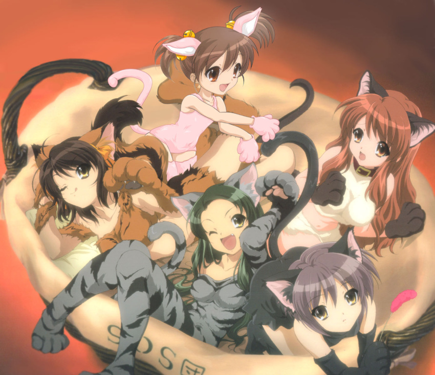 asahina_mikuru, bell, breasts, cat_ears, catgirl, collar, fang, flat_chest, highres, imouto, kyon_no_imouto, loli, long_hair, midriff, nagato_yuki, nekomimi, photoshop, ribbon, short_hair, suzumiya_haruhi, suzumiya_haruhi_no_yuuutsu, tail, thigh_highs, thighhighs, tsuruya, wallpaper, wink