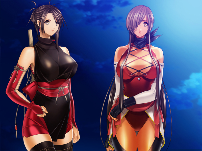 as_(artist), bare_shoulders, black_hair, black_legwear, breasts, bridal_gauntlets, brown_hair, cleavage, fingerless_gloves, gloves, hair_over_one_eye, kamikaze_(as), large_breasts, long_hair, multiple_girls, ninja, original, pantyhose, purple_hair, short_hair, thigh_gap, thighhighs, very_long_hair
