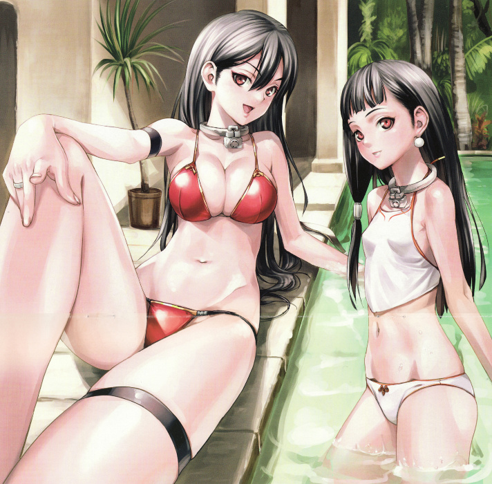 2girls, arm_strap, artist_request, bare_shoulders, bikini, black_hair, breasts, brother_and_sister, cleavage, collar, long_hair, multiple_girls, nakano_tomokazu, navel, queen's_blade, queen's_blade_rebellion, red_bikini, red_eyes, sainyan, siblings, smile, source_request, swimsuit, tarnyan, trap, twins