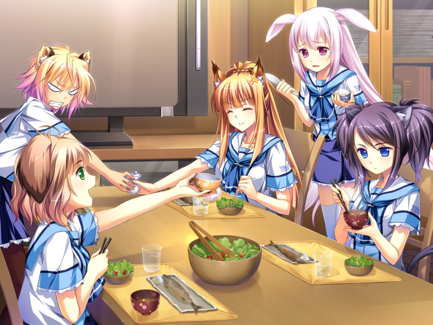 animal_ears, blonde_hair, blue_eyes, brown_hair, bunny_ears, bunnygirl, byoubu_tetora, catgirl