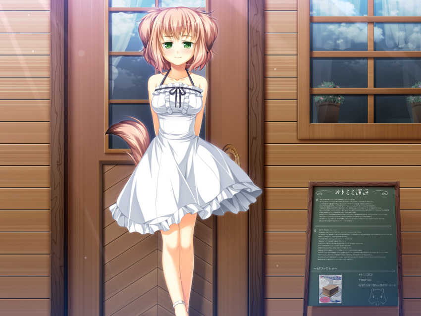 animal_ears, brown_hair, doggirl, dress, game_cg, green_eyes, koya_chachako, otomimi_infinity
