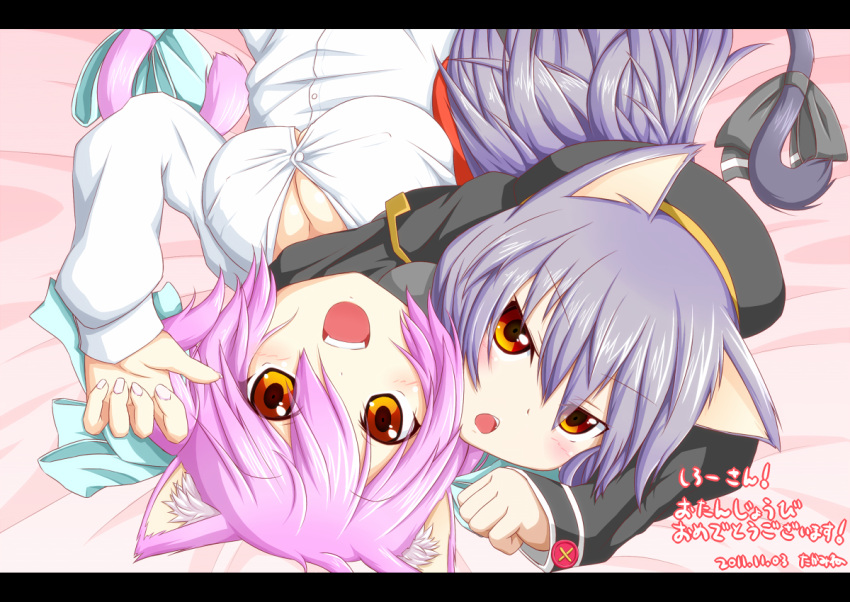 animal_ears, catgirl, pink_hair, purple_hair, tagme, tail, takamine_(smdx), yellow_eyes