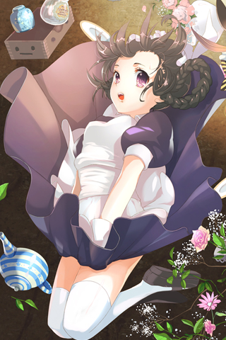 braid, brown_hair, flower, lowres, maid, maid_headdress, mary_janes, new_maid