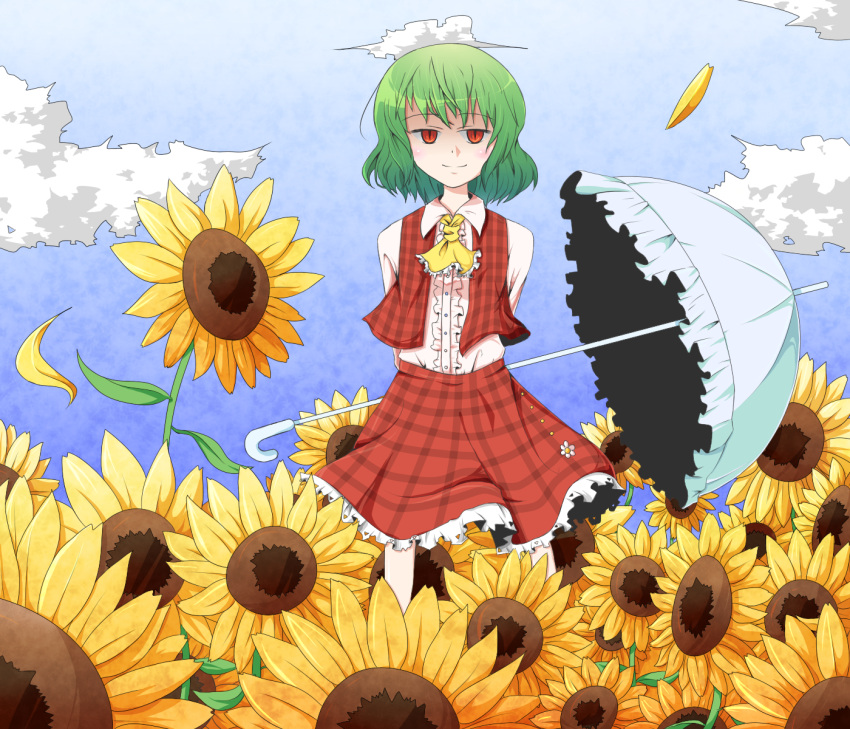 ascot, cloud, dress, flower, flower_field, green_hair, highres, kazami_yuuka