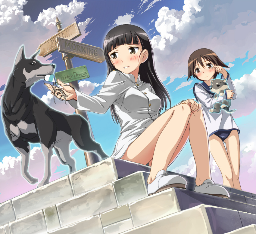 black_hair, blush, brown_hair, cloud, doberman, dog, dog_tags, eyepatch