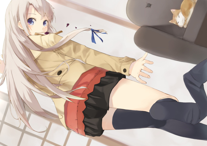 black_legwear, blue_eyes, cat, cccpo, long_hair, looking_back, mouth_hold, original