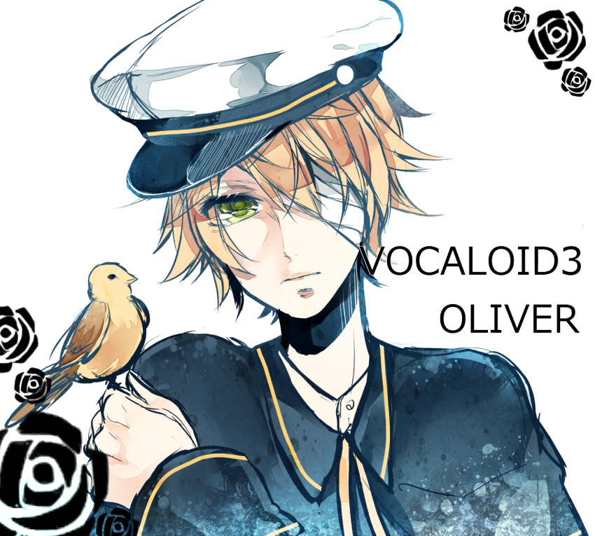 bandage, bandage_over_one_eye, bandages, bird, blonde_hair, comaco, green_eyes, hat