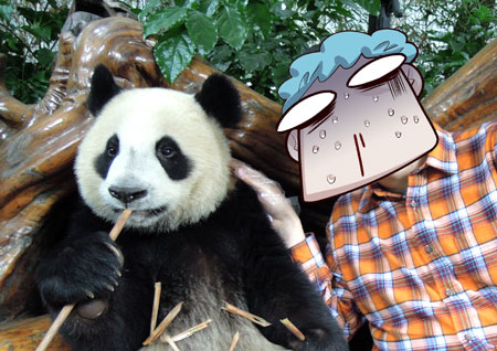 animal, blood, comic, eating, giant_panda, hat, keuma, lowres, nosebleed, original, panda, petting, photo, photo_background, plaid_shirt, shirt, sweat