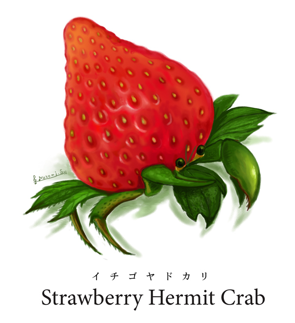 english, f-nezumi, food, fruit, hermit_crab, shibuya_nozomi, strawberry