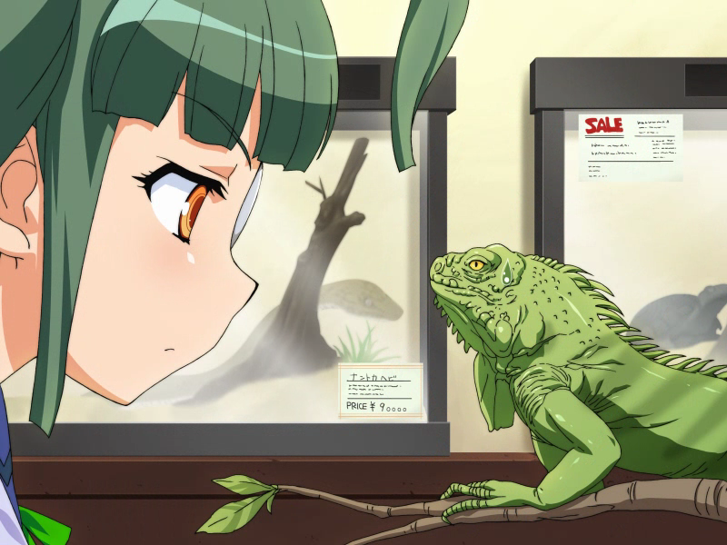 aquarium, branch, eyepatch, iguana, iguana_(animal), lizard, orange_eyes, otomedius