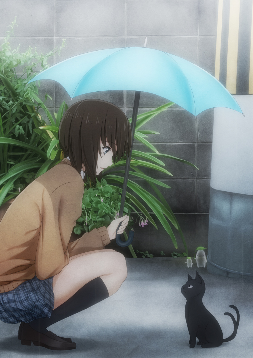black_cat, black_cat_(animal), brown_hair, cat, ghost, grey_eyes, highres, lacosoregashi, leaf_umbrella, multiple_tails, nekomata, original, plant, rain, school_uniform, short_hair, skirt, solo, squatting, sweater, tail, umbrella, wall