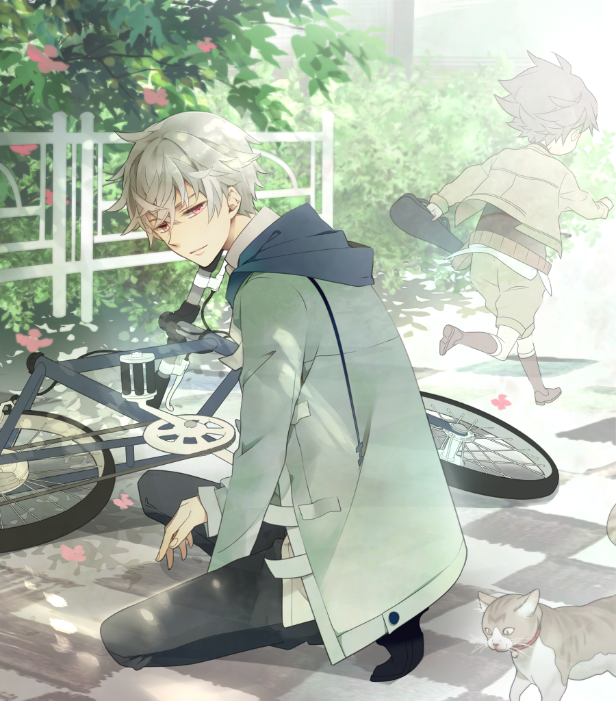 akise_aru, bicycle, cat, child, hoodie, jacket, kneeling, lirura