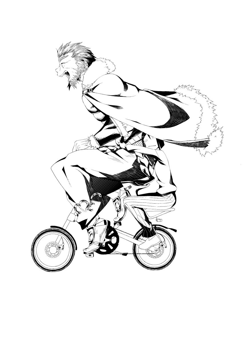 absurdres, ahiruaoba, beard, bicycle, bicycle_riding, facial_hair, fate/stay_night, fate/zero
