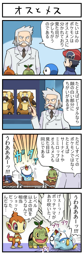 4koma, alternate_costume, bibarel, chimchar, comic, kouki_(pokemon), nanakamado_(pokemon), piplup