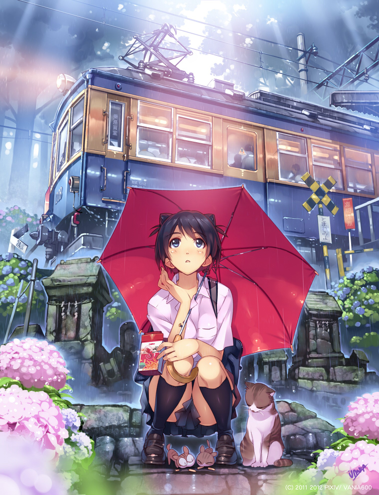 black_eyes, black_hair, cat, flower, footwear, hydrangea, kitten, original