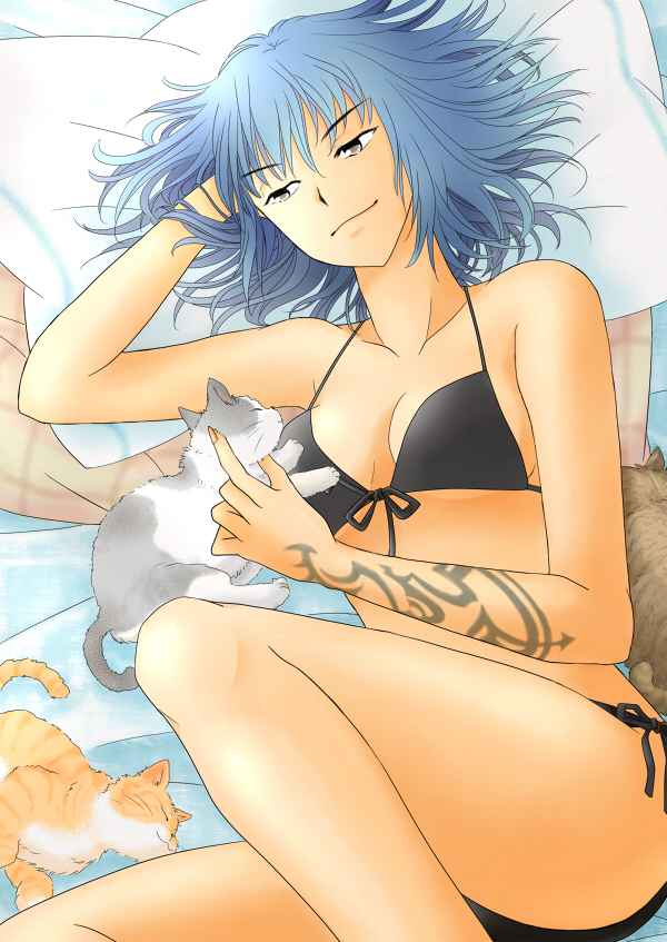 alphard, bad_id, bed, bikini, blue_hair, brown_eyes, canaan, cat
