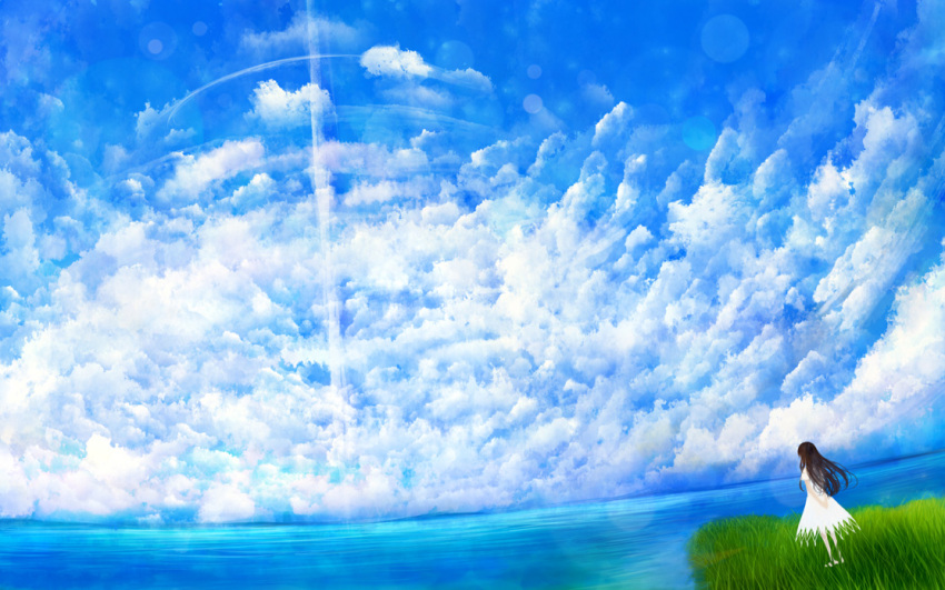 black_hair, bou_nin, cloud, dress, dutch_angle, from_behind, geyser, grass, long_hair, ocean, original, scenery, sky, solo, water