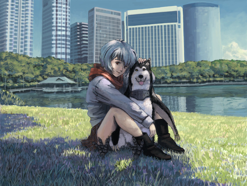 bird, blue_hair, chimera, city, cosplay, derivative_work, dog, evokid