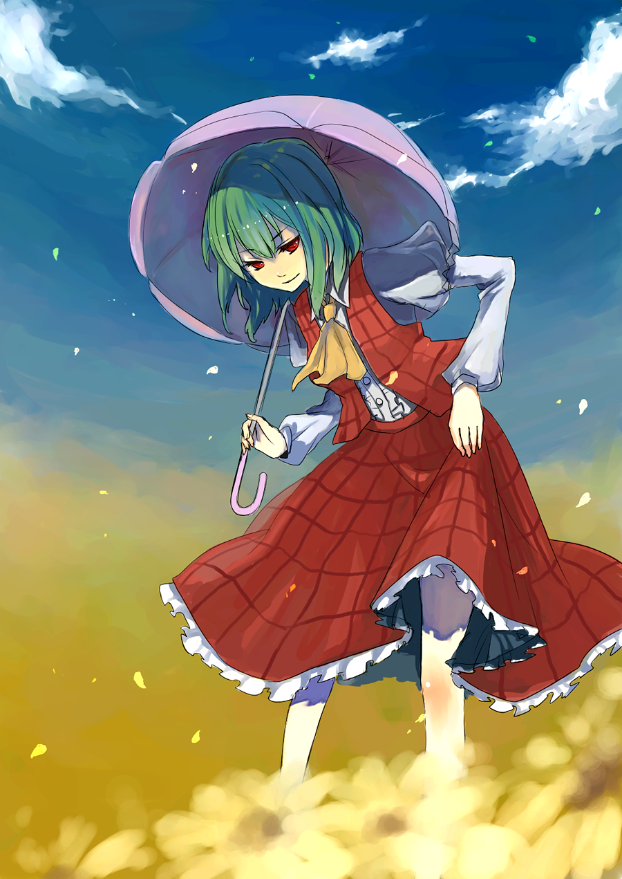 blue_sky, cloud, flower, green_hair, highres, kazami_yuuka, kurasawa_moko, leaning_forward