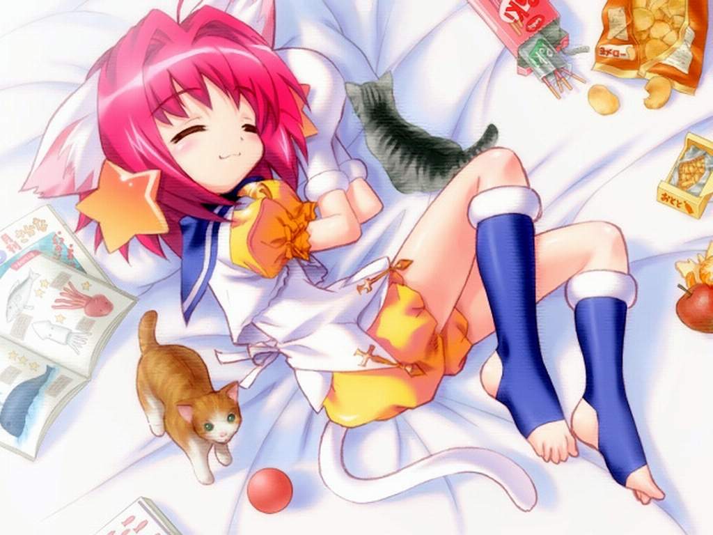 blush, catgirl, knee_socks, loli, nekomimi, seifuku, sleeping, tail