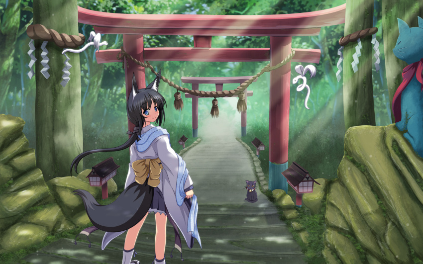animal, animal_ears, black_hair, blue_eyes, cat, forest, fox_ears, fox_tail