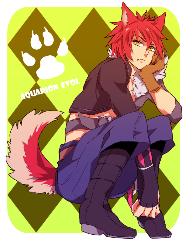 animal_ears, aquarion_(series), aquarion_evol, boots, dog_ears, dog_tail, fingerless_gloves, gloves, hac, hashiko_(pecopom), kagura_demuri, male, red_hair, redhead, solo, tail, yellow_eyes