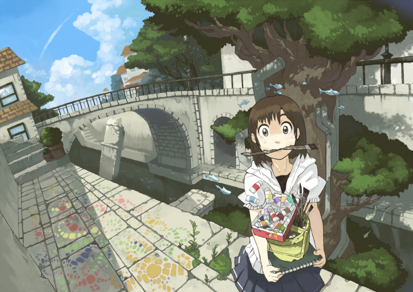 brown_eyes, brown_hair, bucket, canal, cloud, clouds, fish, imoman