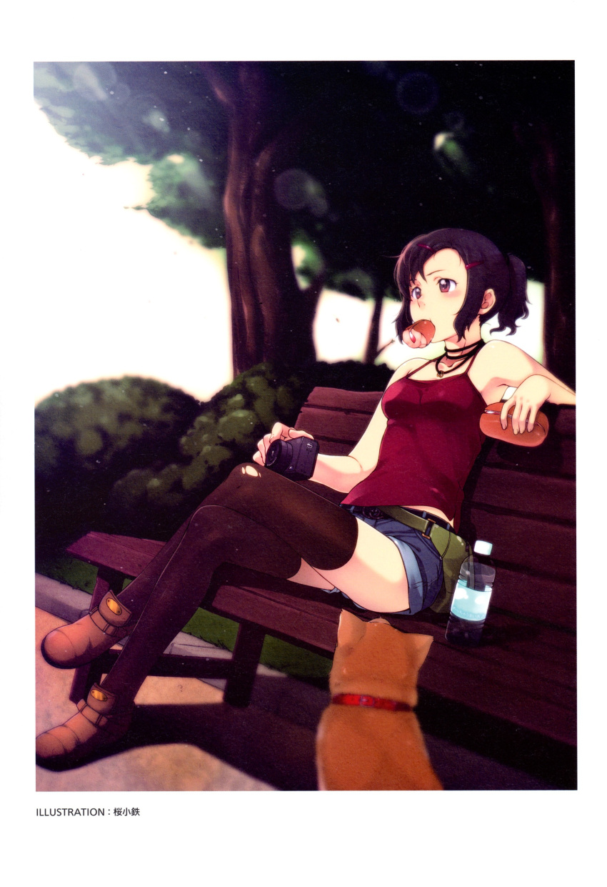 absurdres, artist_request, bare_shoulders, bench, black_hair, black_legwear, bottle, camera
