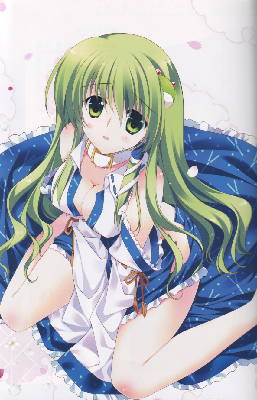 absurdres, bare_legs, bare_shoulders, blush, breasts, cleavage, collar, detached_sleeves