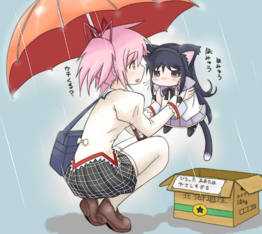 akemi_homura, animal_ears, bag, black_hair, blush, box, cat_ears, cat_tail