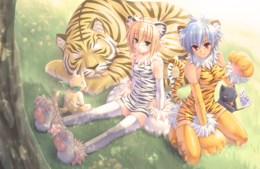 animal_ears, blonde_hair, blue_hair, cat, detached_sleeves, elbow_gloves, fang, flat_chest, gloves, green_eyes, hairband, highres, huey_ranfaruto, kuroneko_sakon, multiple_girls, orange_legwear, original, paw_shoes, paws, pointy_ears, raisen_(studio_tiara), red_eyes, sitting, tail, thigh-highs, thighhighs, tiger, tiger_ears, tiger_print, tiger_tail, white_legwear, zettai_ryouiki