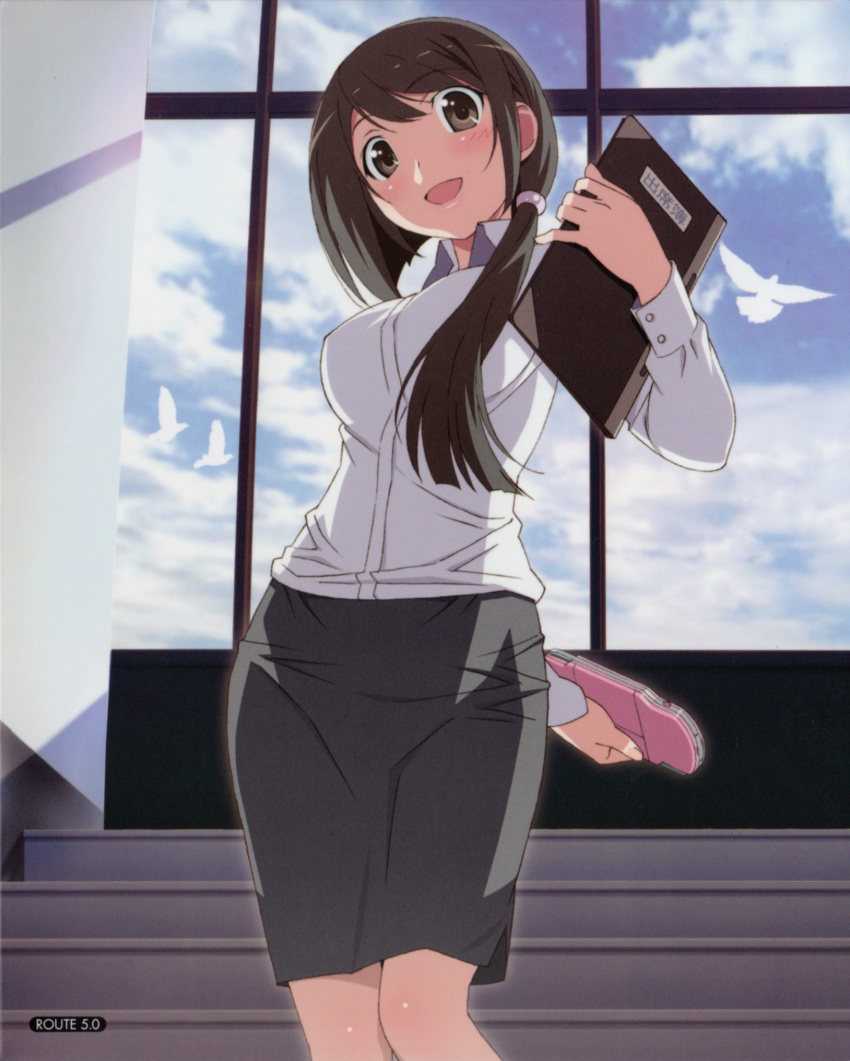 1girl, bird, brown_eyes, brown_hair, clipboard, cover, dvd_cover, female
