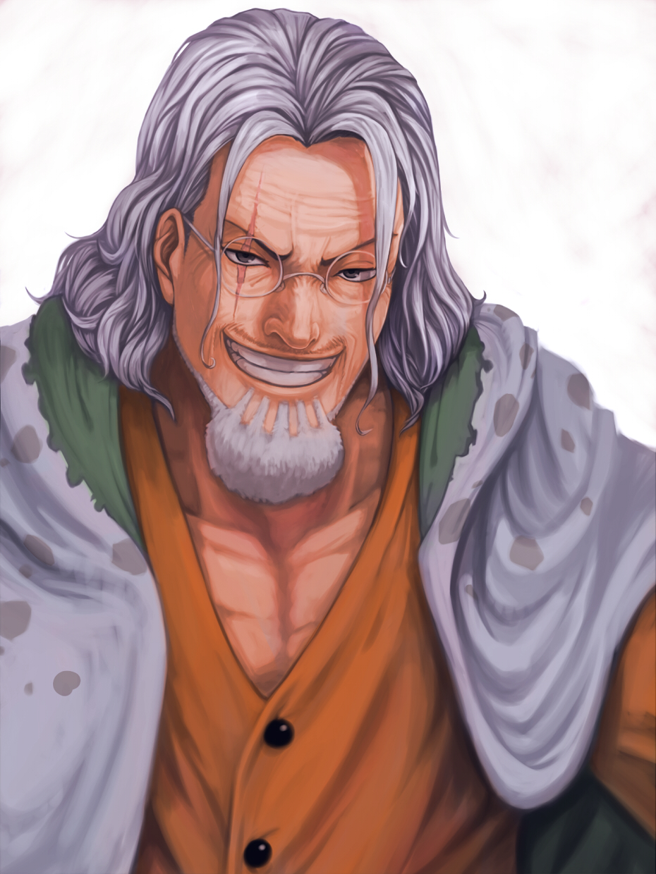 black_eyes, facial_hair, glasses, grey_hair, highres, male, muscle, one_piece