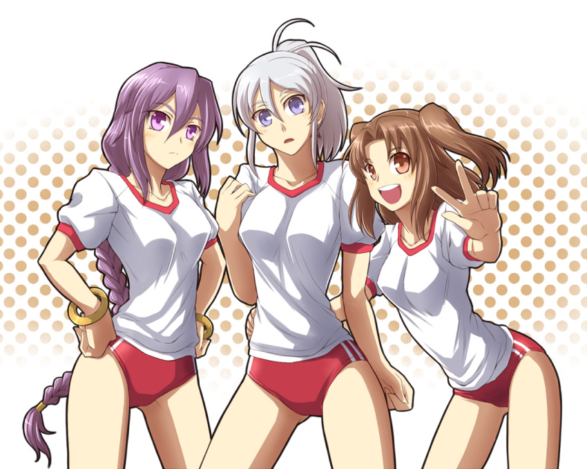 bracelet, braid, brown_eyes, brown_hair, buruma, grey_eyes, grey_hair, gym_uniform, jewelry, long_hair, melty_blood, multiple_girls, ponytail, purple_eyes, purple_hair, raodekiya, riesbyfe_stridberg, silver_hair, single_braid, sion_eltnam_atlasia, tsukihime, two_side_up, v, violet_eyes, yumizuka_satsuki