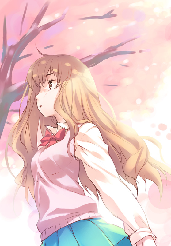 kimi_ni_todoke, kurumisawa_ume, kurumizawa_ume, long_hair, school_uniform, serafuku, skirt, sweater_vest