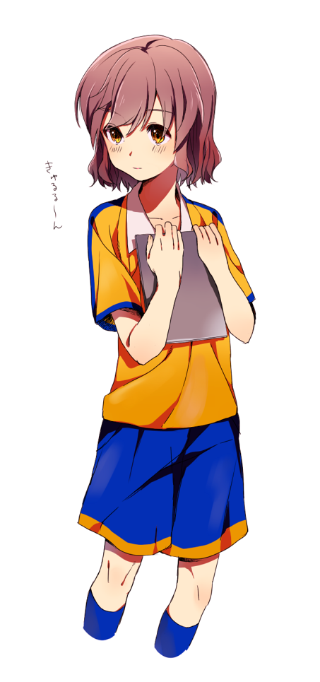 blush, brown_eyes, brown_hair, inazuma_eleven, inazuma_eleven_(series), inazuma_eleven_go, kangokun, male