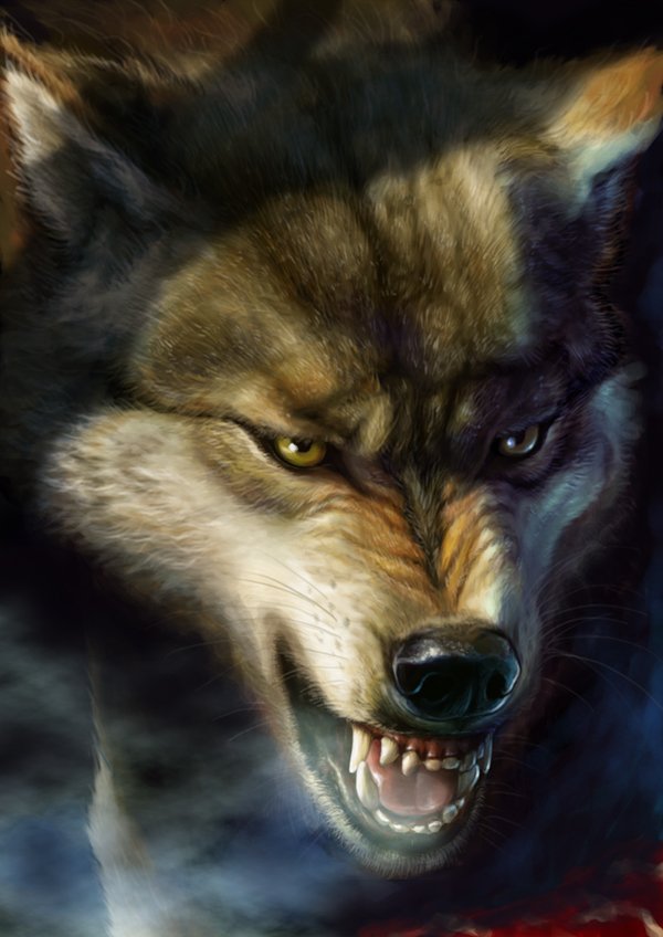 akio_(artist), angry, animal, brown_fur, canine, dog, fangs, snarl, solo, tongue, white_fur, wolf, yellow_eyes