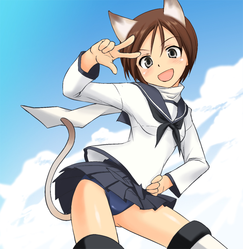 1girl, brown_hair, cat_ears, cat_tail, grey_eyes, hand_on_hip, hips, miritsu