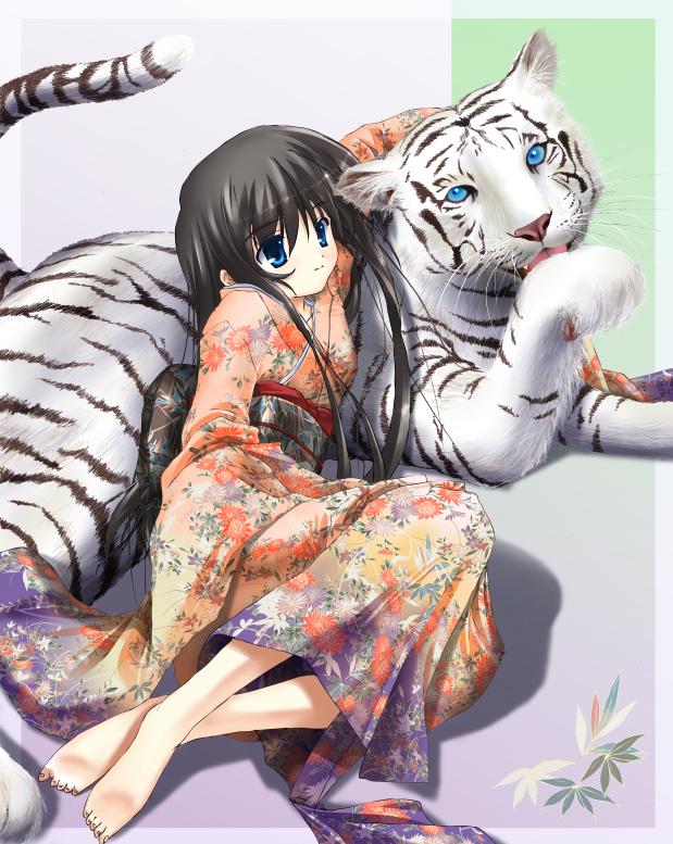 bad_feet, barefoot, japanese_clothes, kimono, new_year, shion_(artist), shion_(kawasemi), solo, tiger, white_tiger