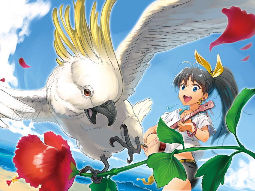 andou_chikanori, animal, beach, bird, black_hair, blue_eyes, cockatoo, each
