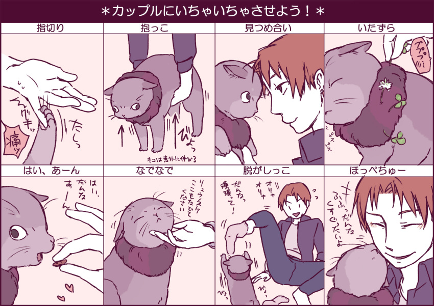 animalization, caster_(fate/zero), cat, cat_ears, cat_focus, cat_tail, chin_stroking, closed_eyes