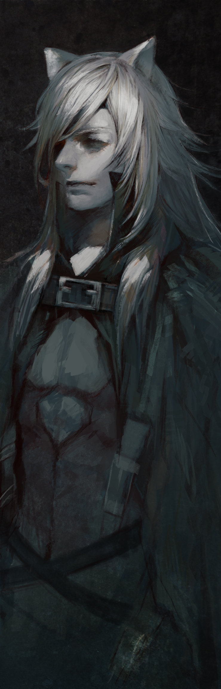 animal_ears, ao666, cat_ears, face, grey_hair, highres, lamento, long_hair