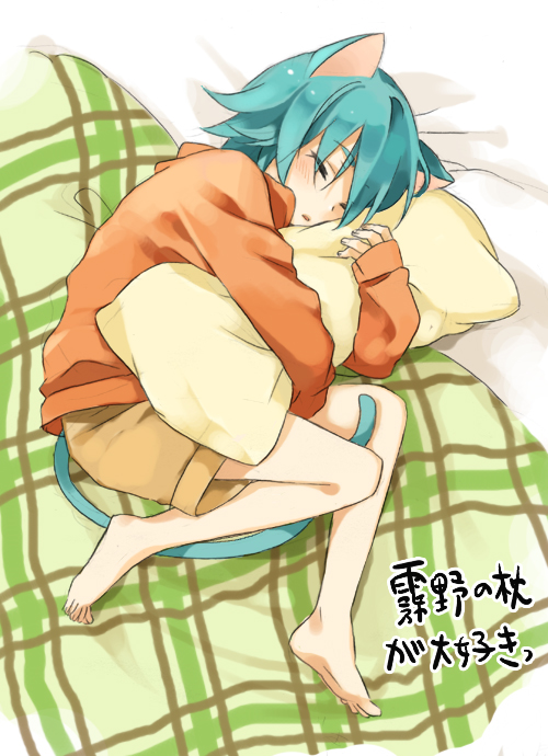animal_ears, aqua_hair, cat_ears, cat_tail, closed_eyes, eyes_closed, hug, inazuma_eleven, inazuma_eleven_(series), inazuma_eleven_go, kariya_masaki, lying, male, nodobotokemax, on_side, pillow, shorts, sleeping, solo, tail, translation_request