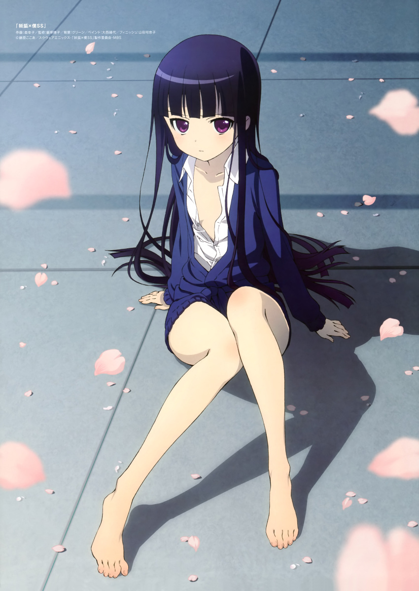 absurdres, bangs, barefoot, black_hair, blunt_bangs, blurry, depth_of_field, feet, greek_toe, highres, inu_x_boku_ss, legs, long_hair, mori_yukiko, official_art, on_floor, open_clothes, open_shirt, petals, purple_eyes, scan, shadow, shirakiin_ririchiyo, sitting, solo, toes, violet_eyes