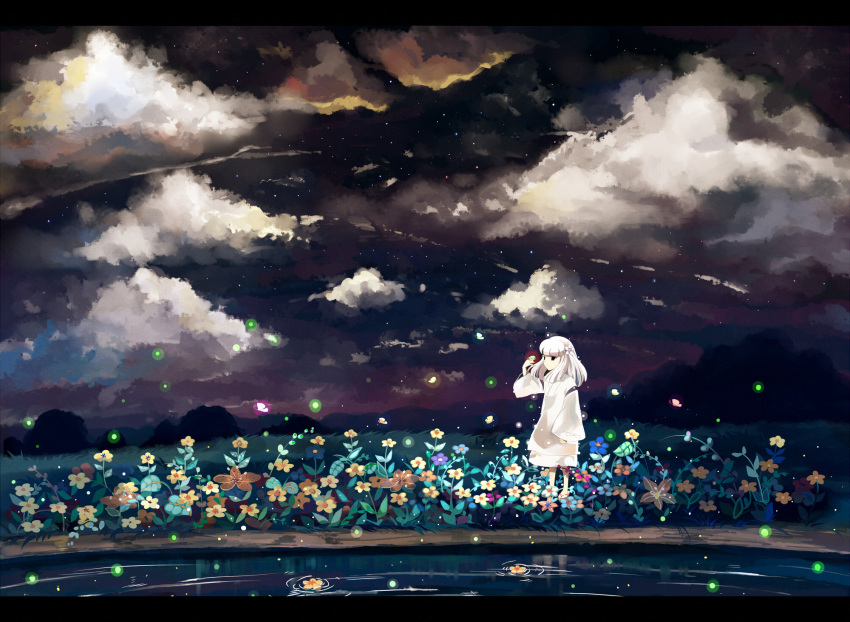 butterfly, cloud, firefly, flower_field, highres, inuyasha, kanna_(inuyasha), night, night_sky, saik, scenery, sky, standing, star_(sky), starry_sky, water, white_hair