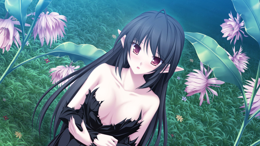 black_hair, elf, fuu_(suzukaze_no_melt), game_cg, long_hair, maikaze_no_melt, red_eyes